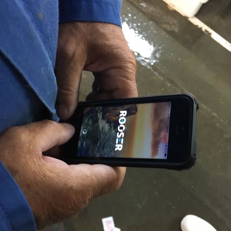 Rooser mobile app